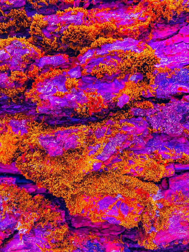 eugene-golovesov-R9SzQFbG0BY-unsplash